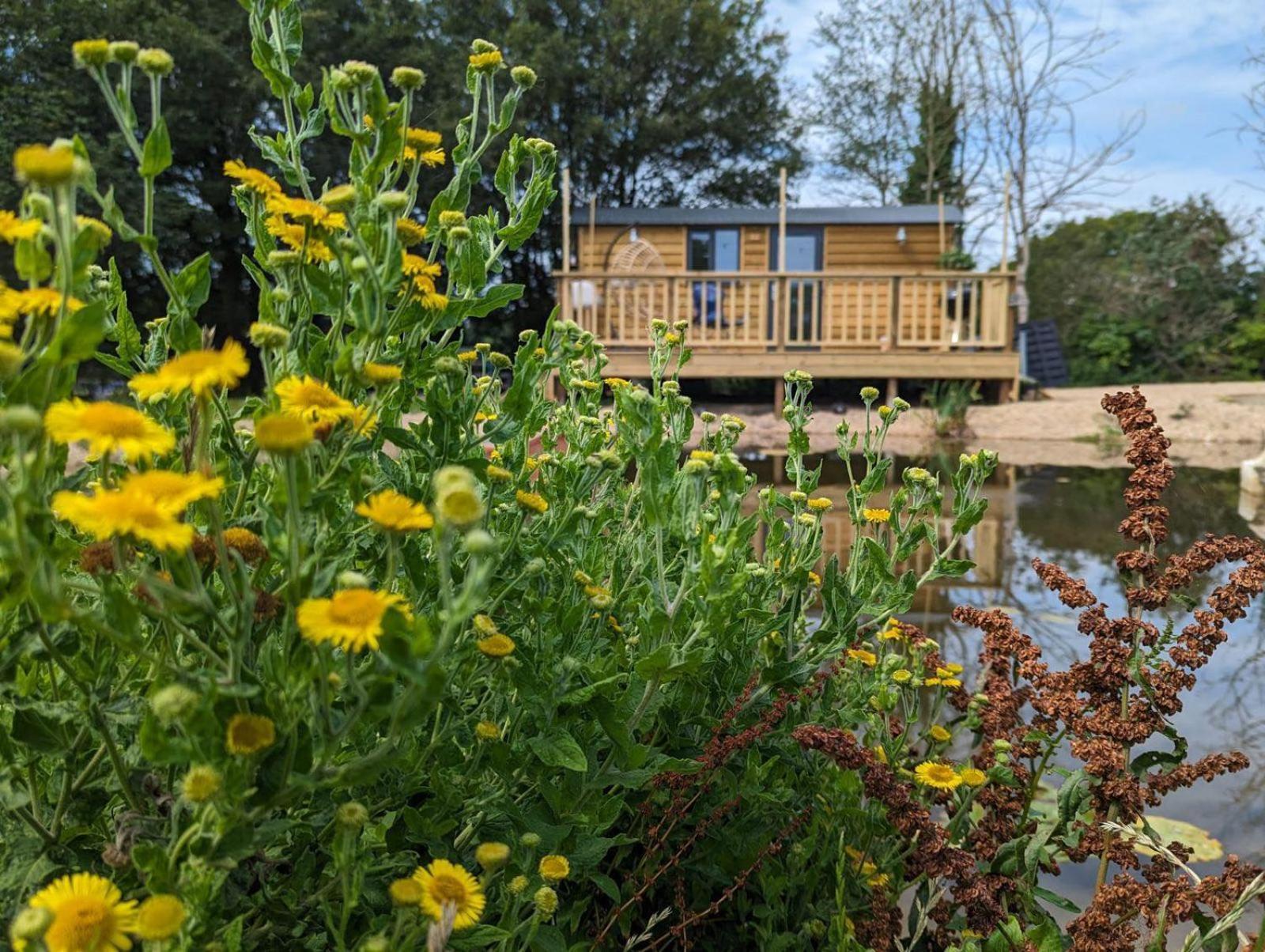 Rusty Duck Retreat Shepherds Hut Shedfield Εξωτερικό φωτογραφία